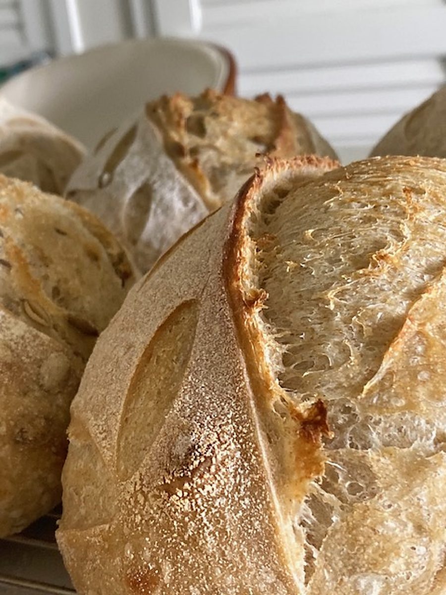 A round sourdough boule with a blistered mahogany crust and a high curling ear, lit by morning light